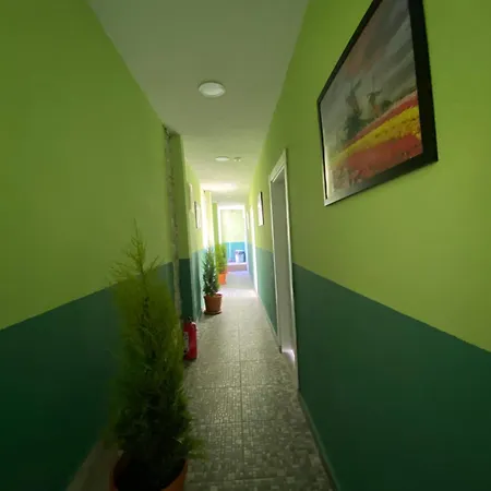 Gazde/Camere de închiriat Sila *