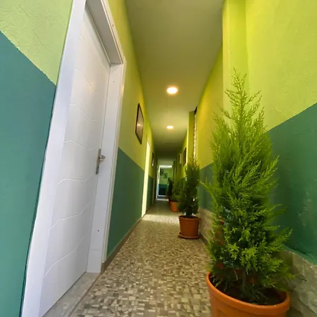 Sila Gazde/Camere de închiriat Bodrum